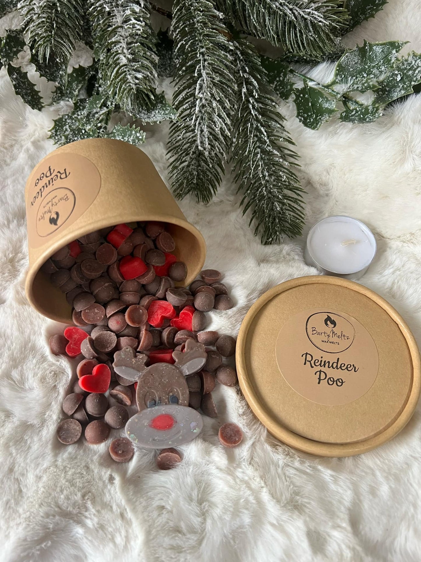 Christmas Scoopie Tubs🎅🏻