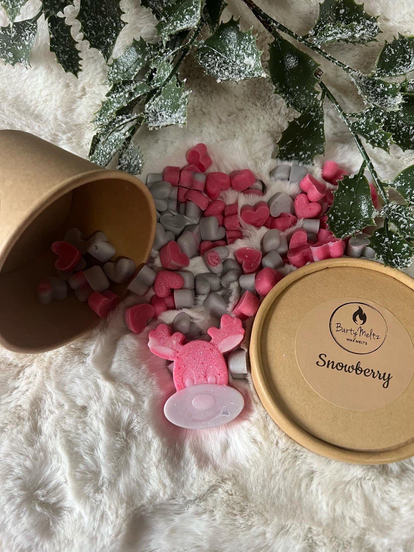 Christmas Scoopie Tubs🎅🏻